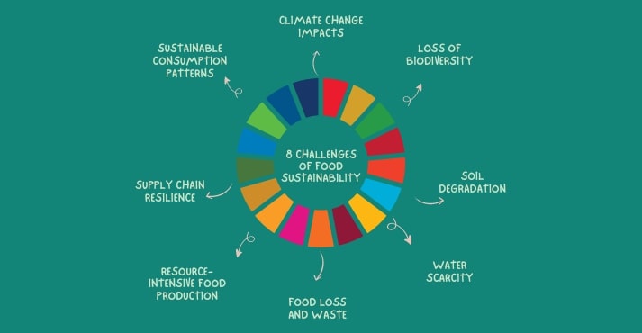 Chart of Challenges of Food Sustainability