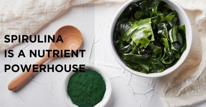 Spirulina-powder-and-in-raw-form