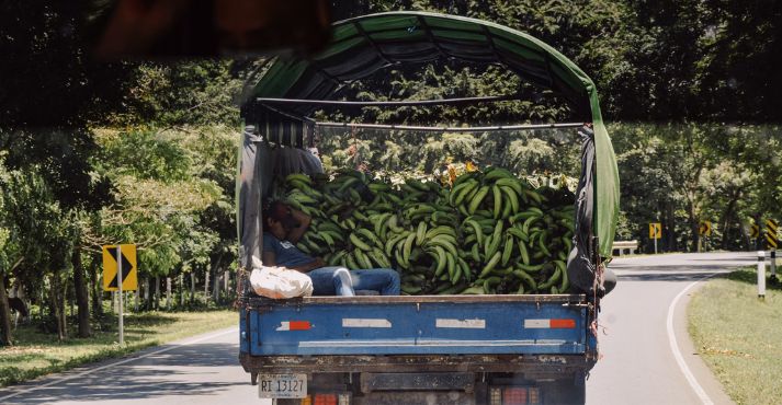 a truck loaded with imported bananas