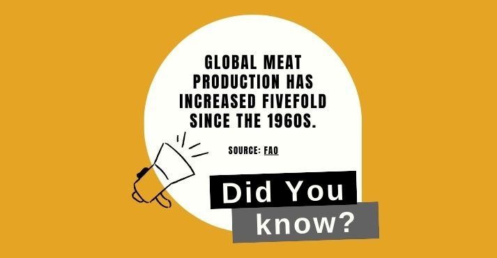 global meat production stats