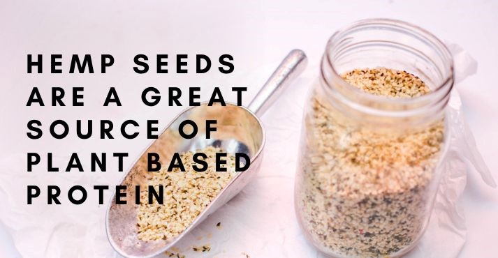 hemp seeds are great source of plant protein