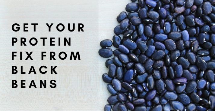 protein from black beans