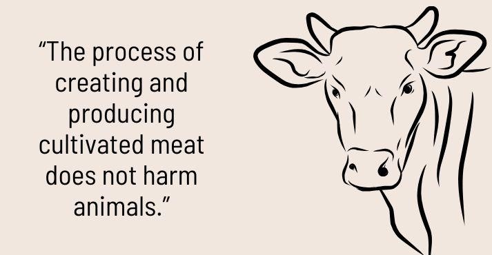 cultivated meat does not harm animals