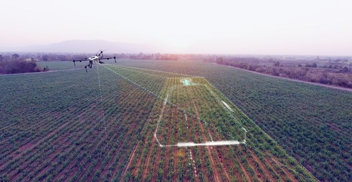 drone in precision agriculture