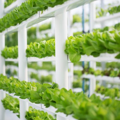 vertical farming