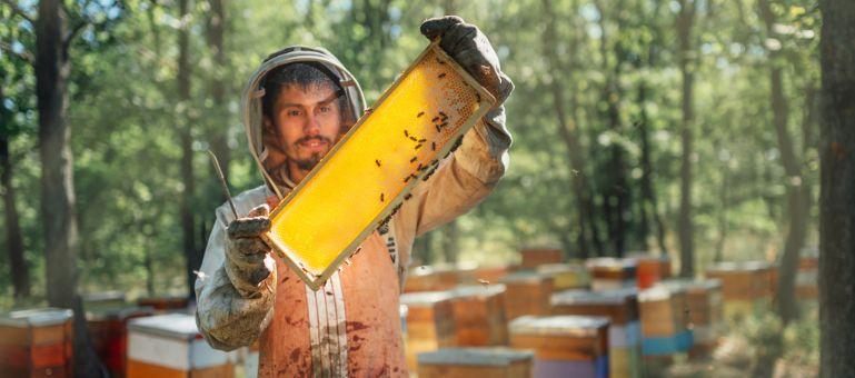 A-honey-farmer-harvesting-honey