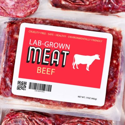 Cultivated Meat Industry