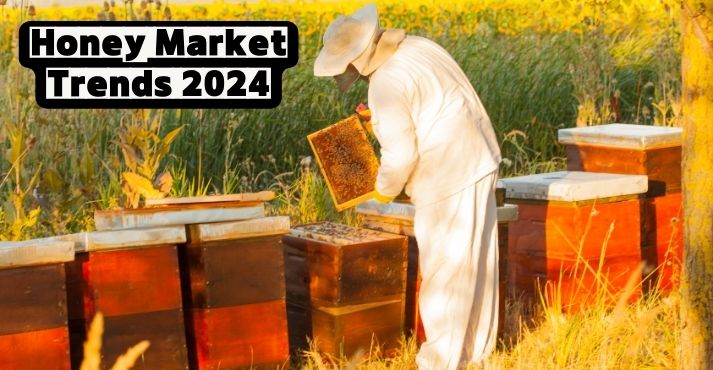 Honey Industry Trends