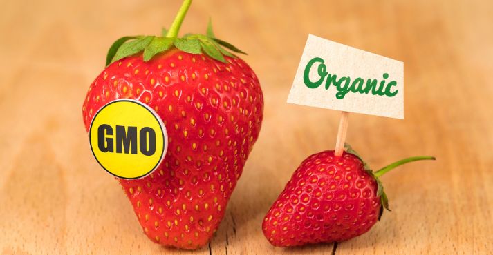 Non-GMO vs. Organic Key Differences