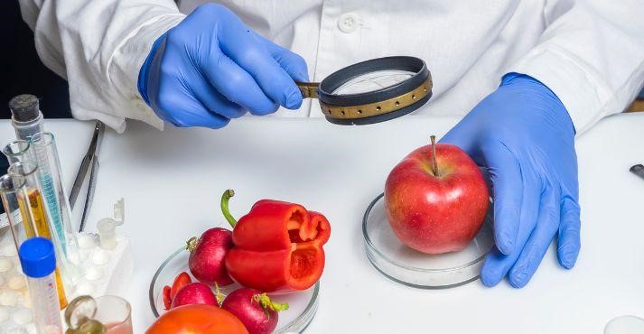 food-tech-professional-ensuring-food-safety-and-quality