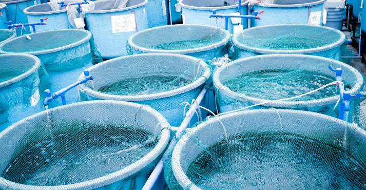 Aquaculture fish farming containers