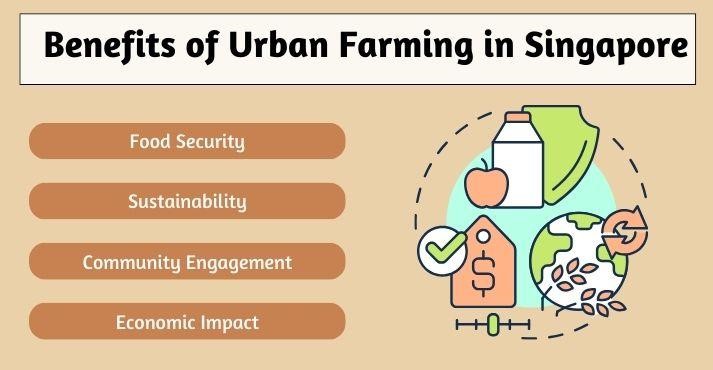 Benefits-of-urban-farming