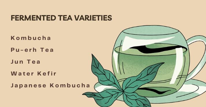 Fermented Tea Varieties