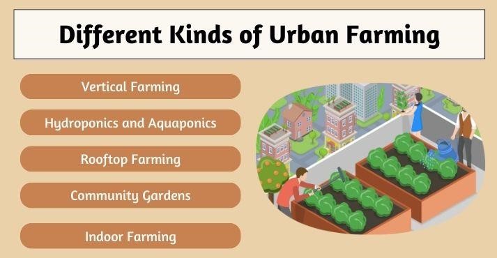 Types-of-Urban-Farming