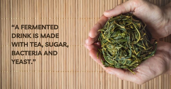 fresh tea leaves to make fermented tea