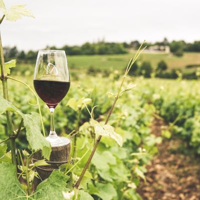 what is sustainable wine