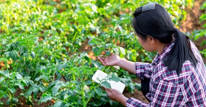 woman-farmer-practicing-precision-agriculture