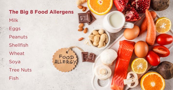 Big 8 Food Allergens