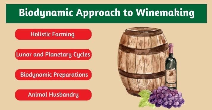 Biodynamic-approach-to-winemaking