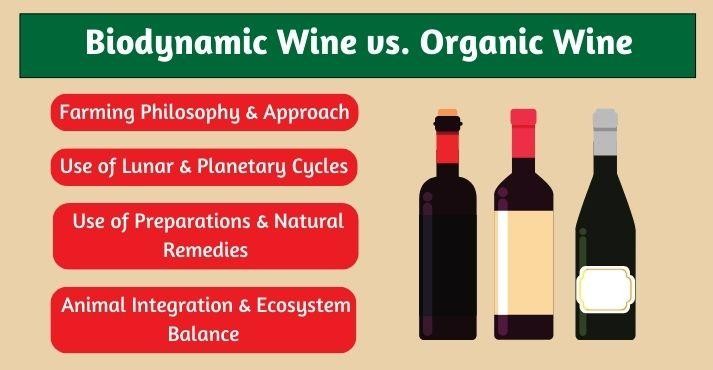 Biodynamic-wine-vs-organic-wine