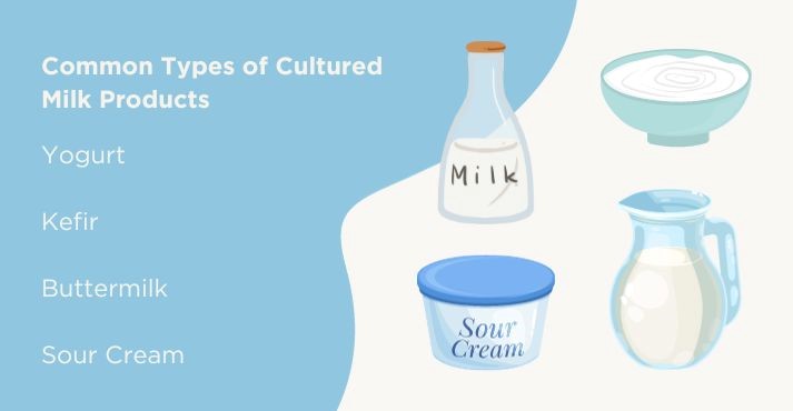 Types of Cultured Milk Products