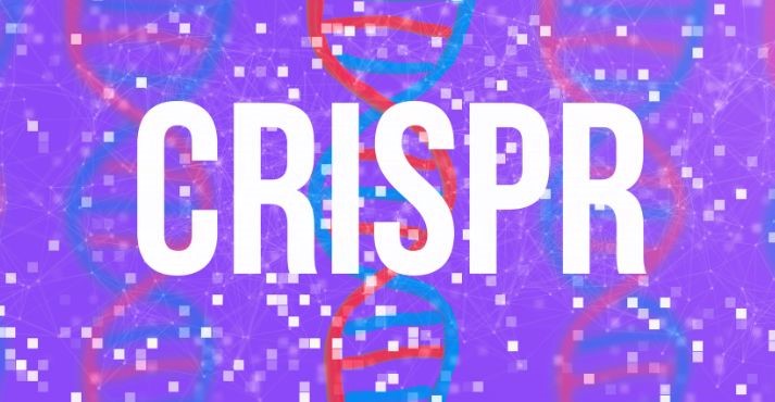 what is CRISPR