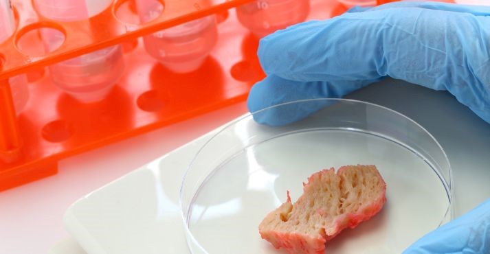 Lab-Grown Meat Production Process