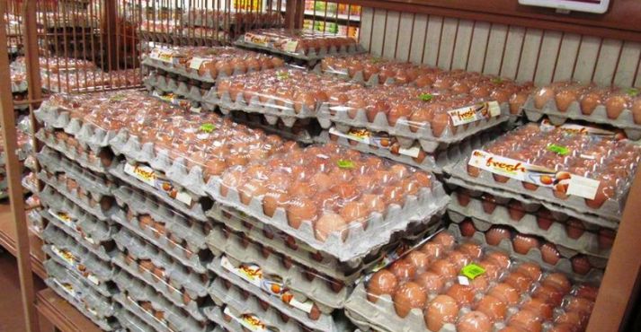 eggs import in Singapore