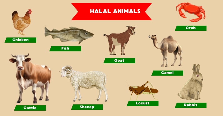 halal permissible animals