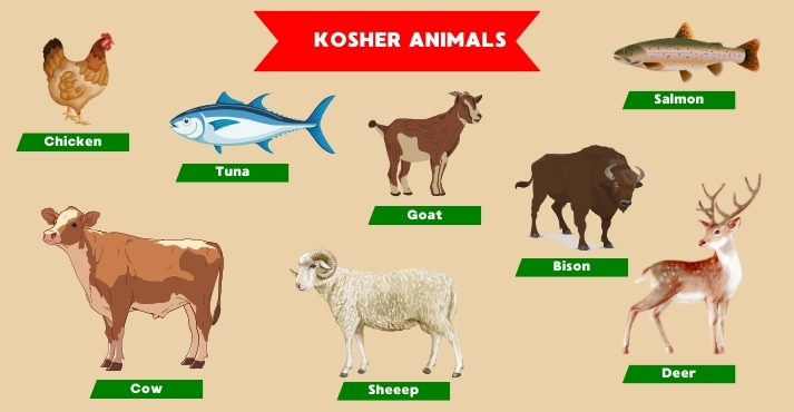 kosher allowed animals