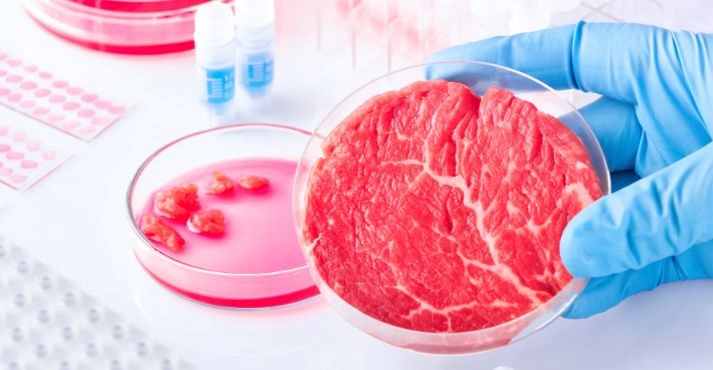 what is lab grown meat
