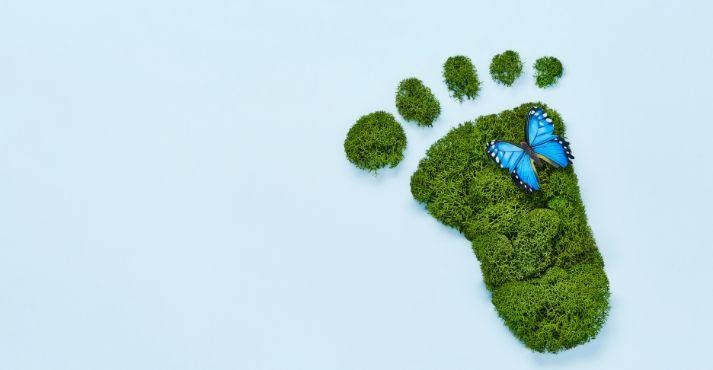 reducing-carbon-footprint-part-of-singapore-green-plan-2030