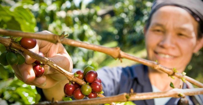 Fair-trade-coffee-farmer