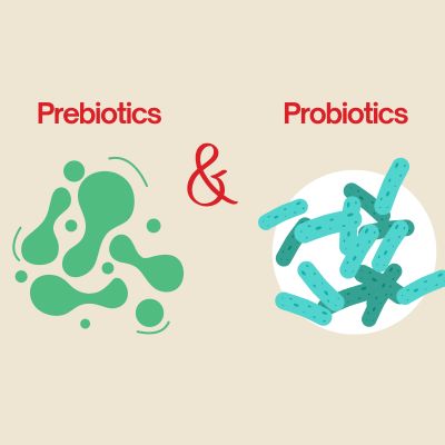 Prebiotics and Probiotics