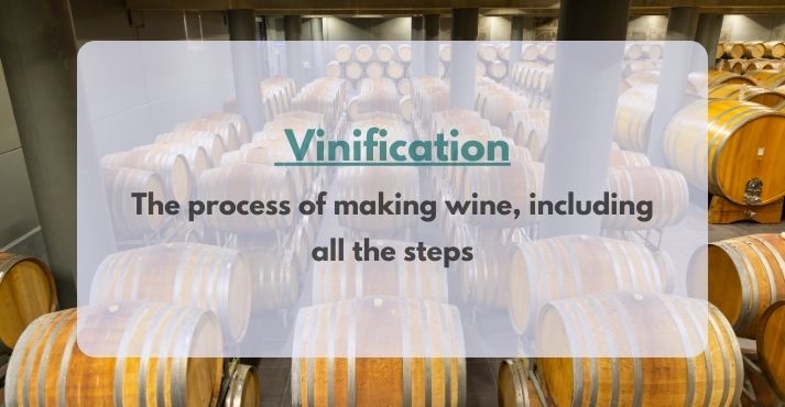 Vinification