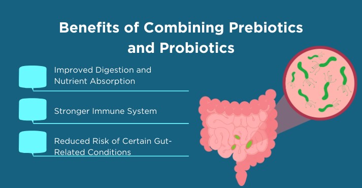 benefits-of-combining-prebiotics-and-probiotics