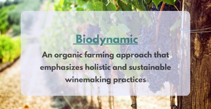 biodynamic wine