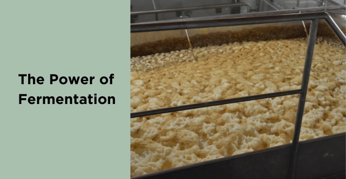 power-of-fermentation