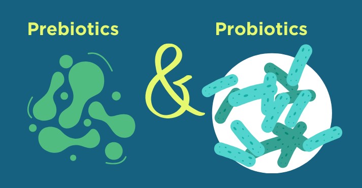 prebiotics-and-probiotics