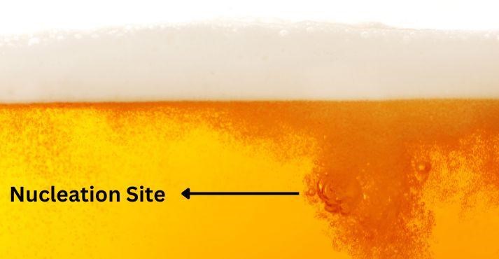 Nucleation-site-in-beer-carbonation