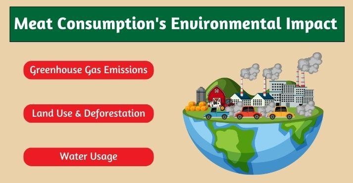 Environmental-impact-of-meat-consumption