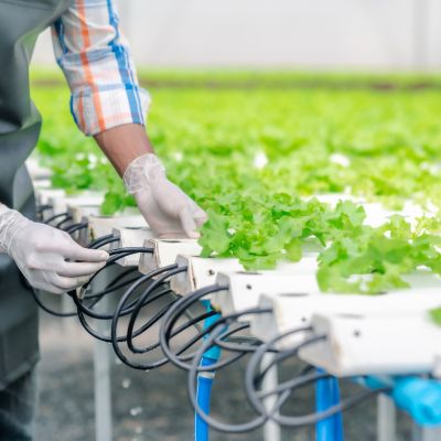 Future of Food: Promoting Sustainability in Agriculture