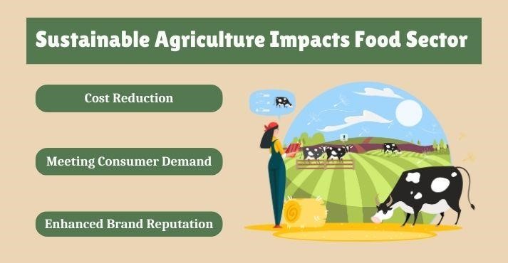 impact-of-sustainable-agriculture-on-food-industry