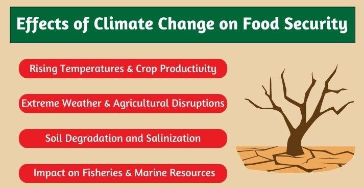 climate-change-impact-on-food-security