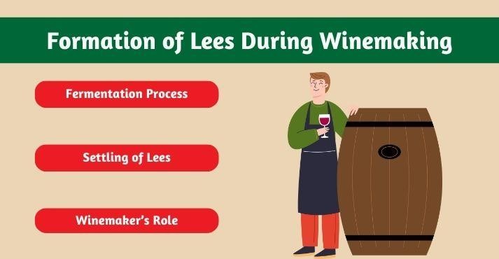 How-lees-form-during-winemaking