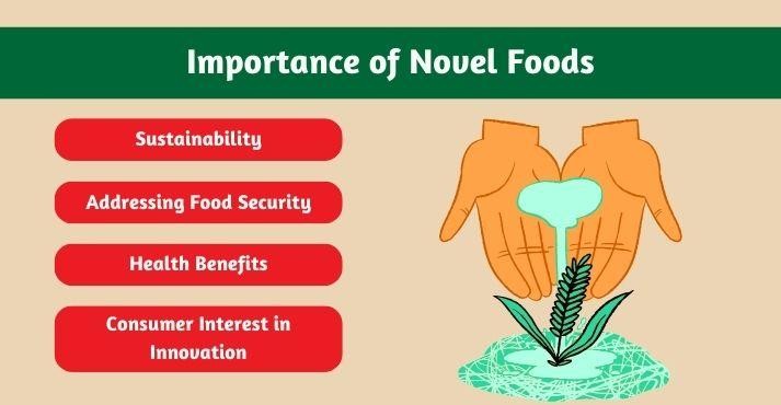 Why-are-novel-foods-important