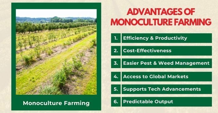 advantages-of-monoculture-farming