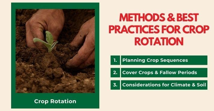 methods-and-best-practices-for-crop-rotation