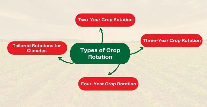 types-of-crop-rotation