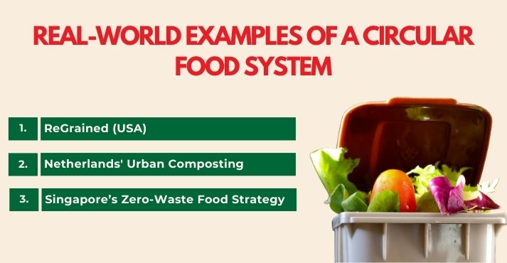 real-world-examples-of-a-circular-food-system